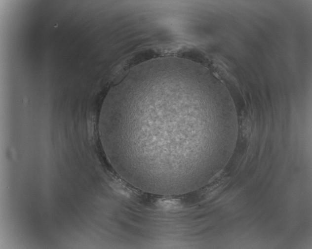 X0000073410283200608041006