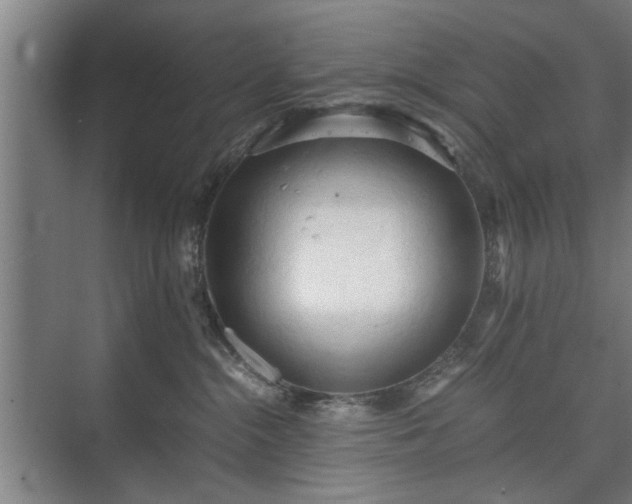 X0000073410284200608041006