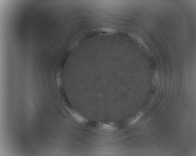 X0000073410285200608041006