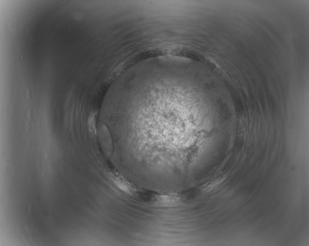 X0000073410286200608041006