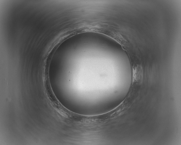 X0000073410291200608041005