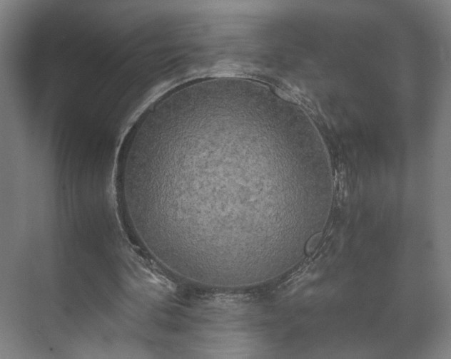 X0000073410292200608041005