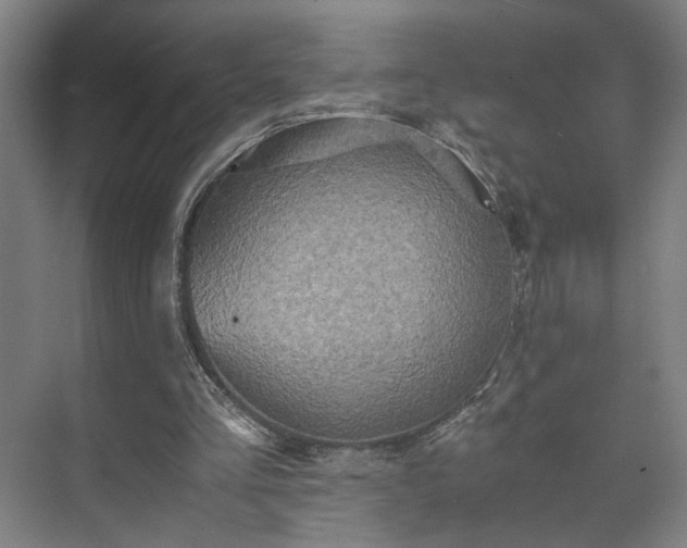 X0000073410293200608041005