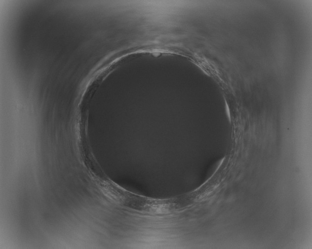 X0000073410295200608041005