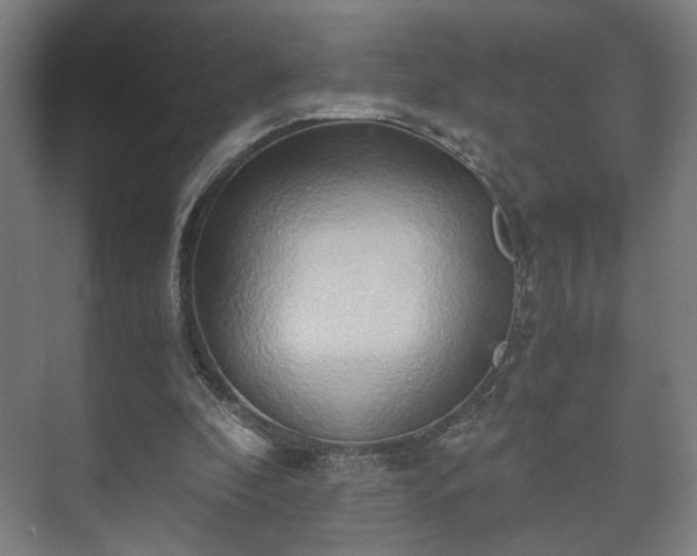 X0000073410296200608041005