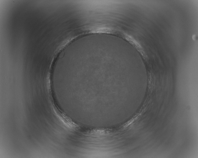 X0000073410298200608041005