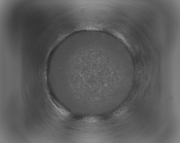 X0000073410299200608041005