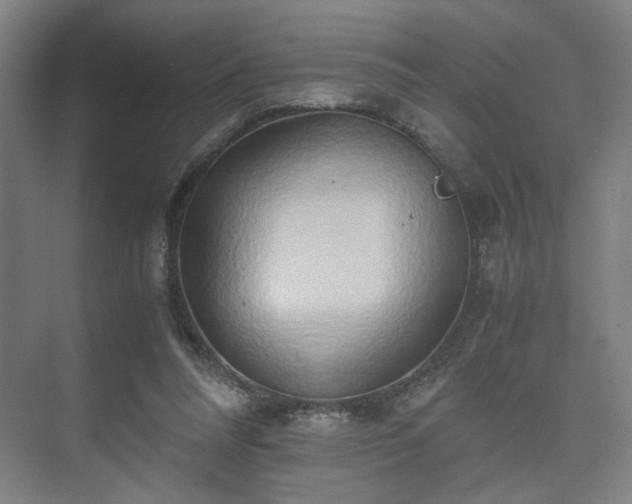 X0000073410304200608041005