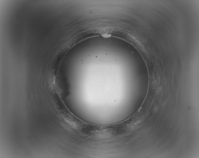 X0000073410307200608041005