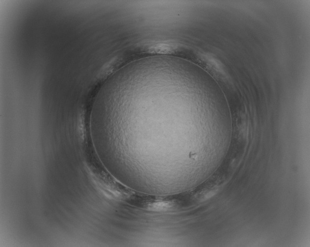 X0000073410312200608041005