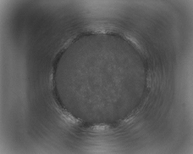 X0000073410314200608041005