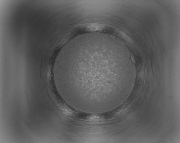 X0000073410315200608041005