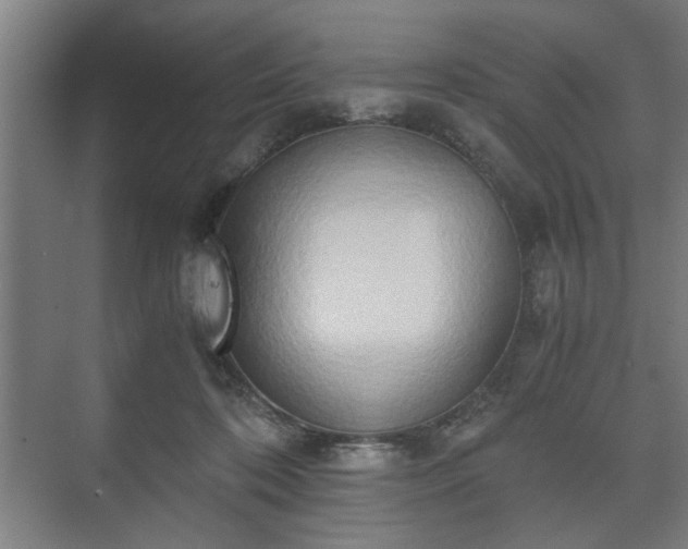 X0000073410316200608041005