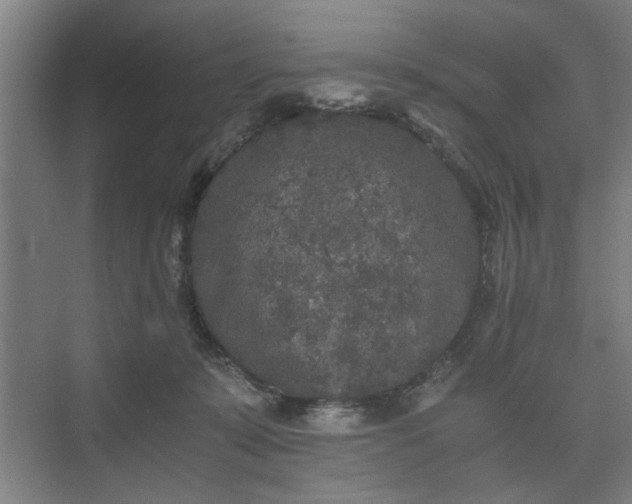 X0000073410319200608041005