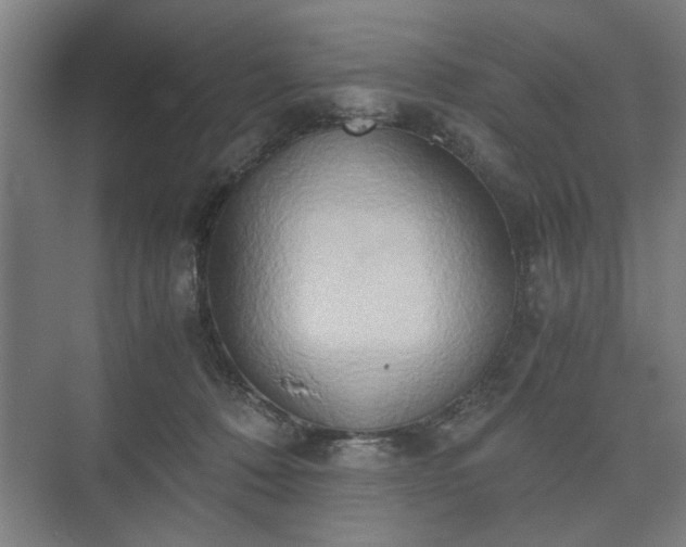 X0000073410320200608041005