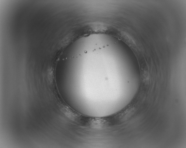 X0000073410321200608041005