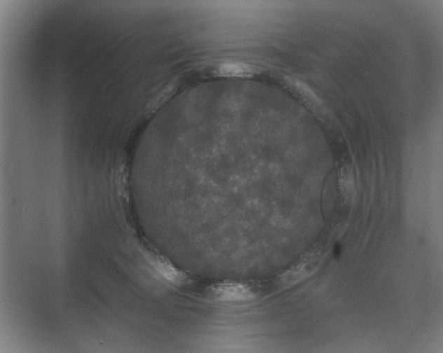 X0000073410322200608041005