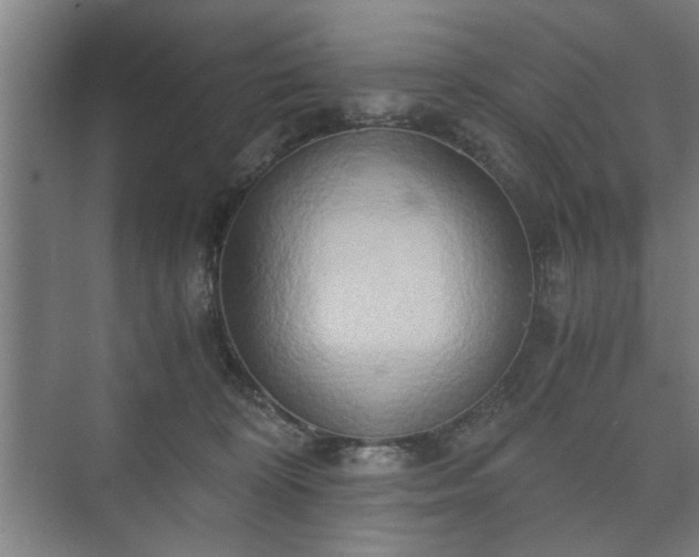 X0000073410324200608041005