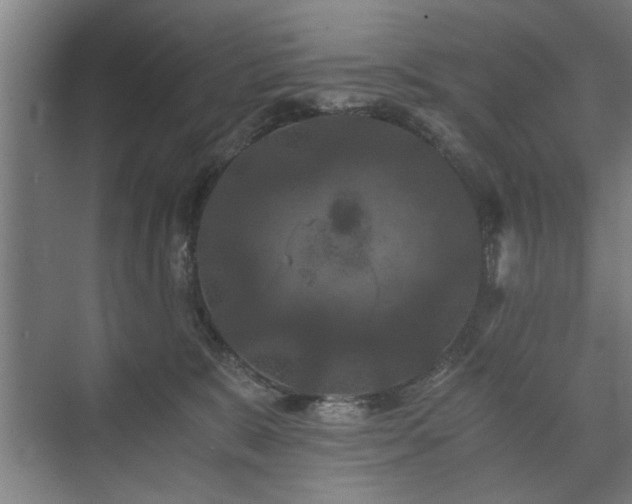 X0000073410327200608041005