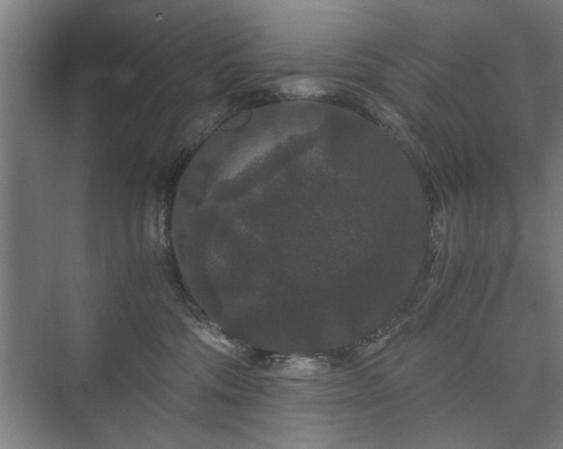 X0000073410330200608041005