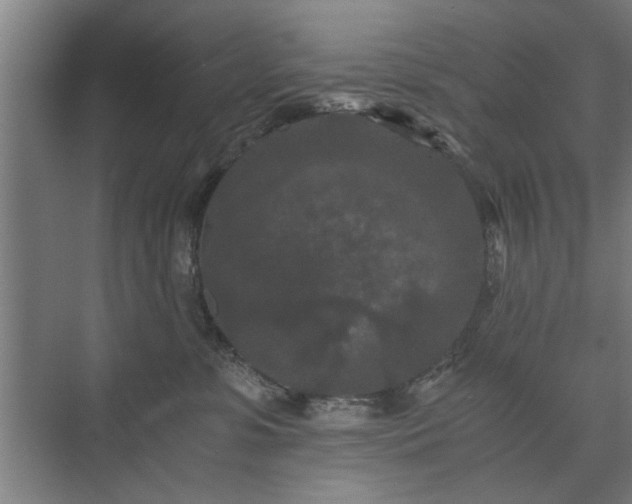 X0000073410331200608041005