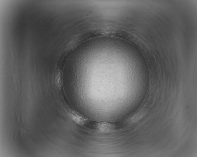 X0000073410336200608041005