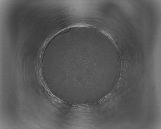 X0000073410337200608041004