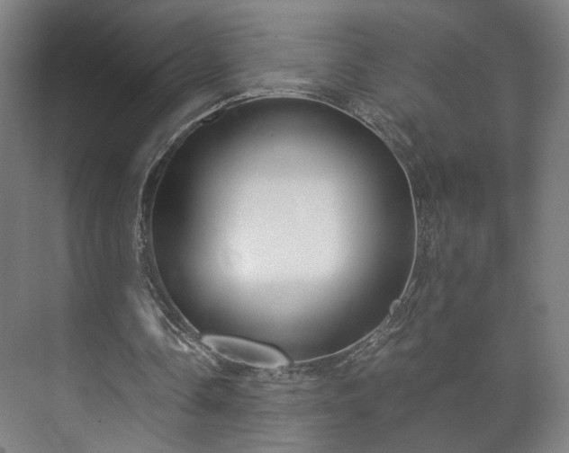 X0000073410338200608041004