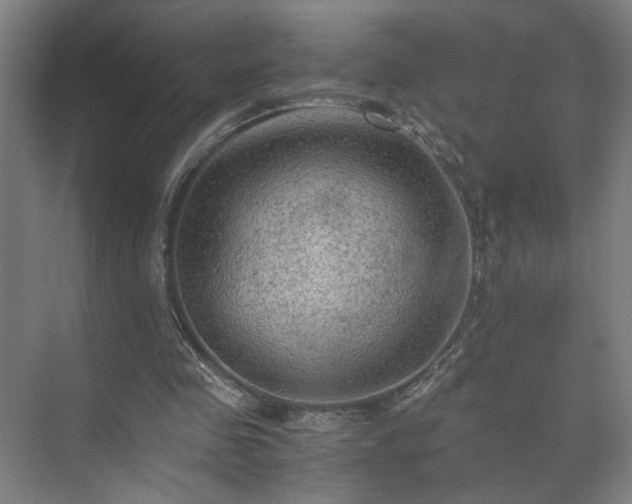 X0000073410341200608041004