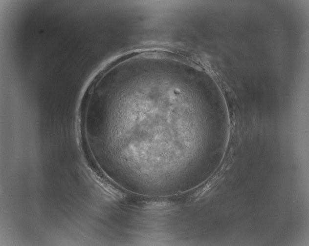 X0000073410342200608041004