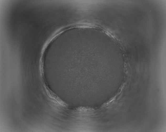 X0000073410343200608041004