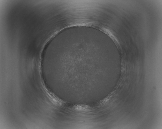 X0000073410346200608041004