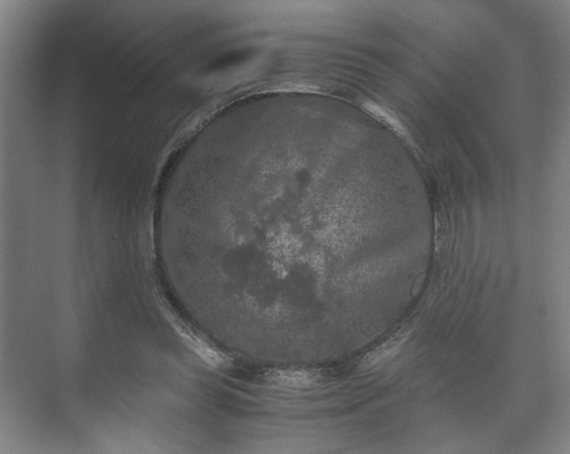 X0000073410349200608041004