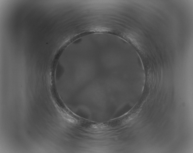 X0000073410351200608041004