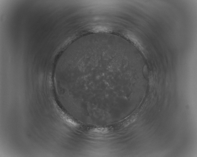 X0000073410353200608041004