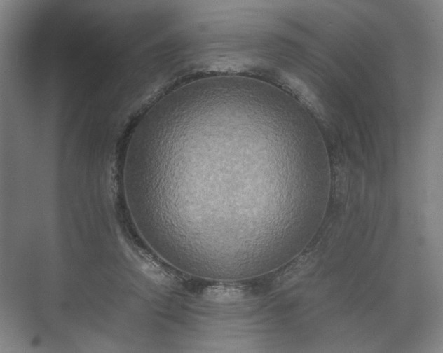 X0000073410354200608041004