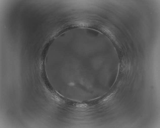 X0000073410355200608041004