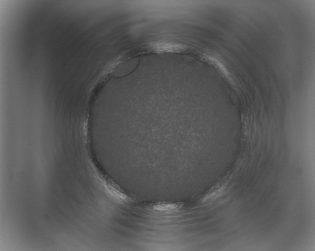 X0000073410357200608041004