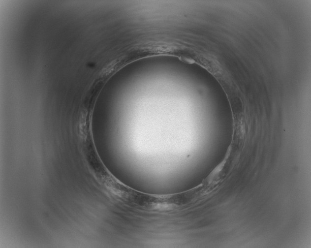 X0000073410360200608041004