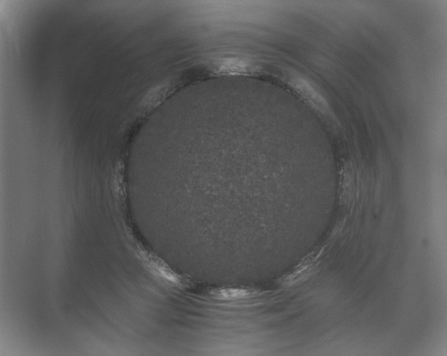 X0000073410361200608041004