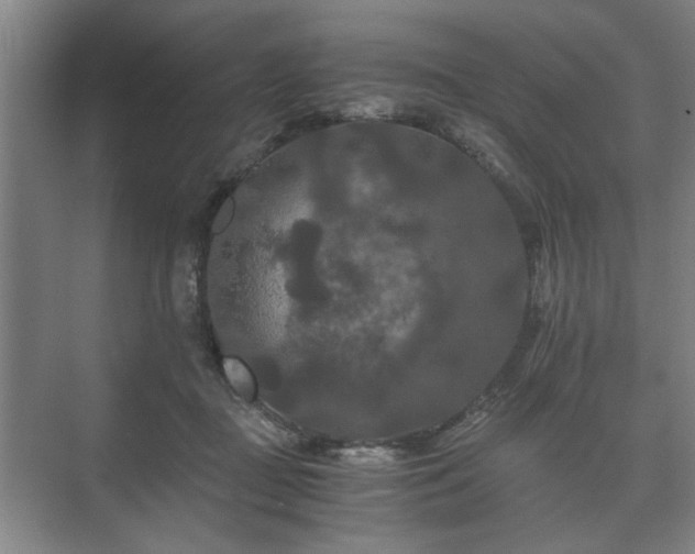 X0000073410363200608041004