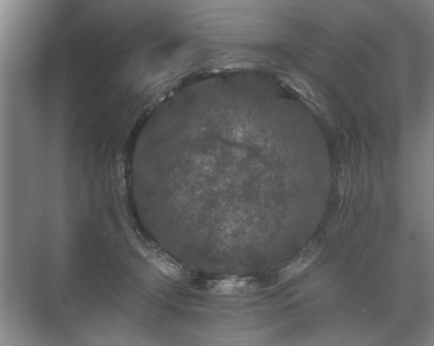 X0000073410366200608041004