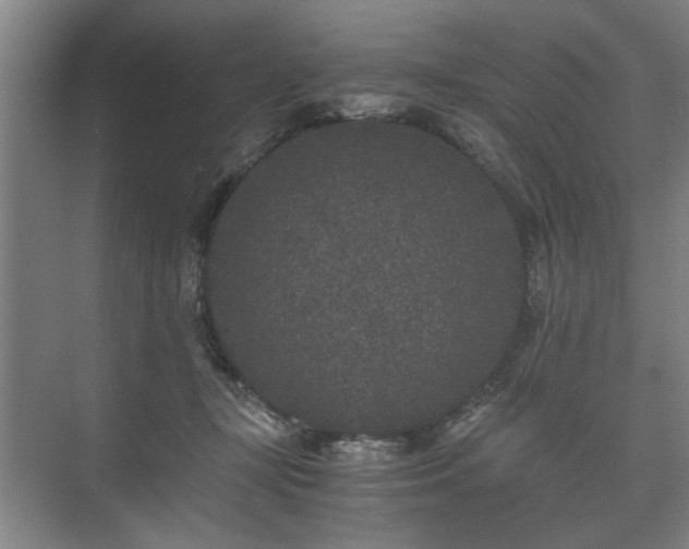 X0000073410367200608041004