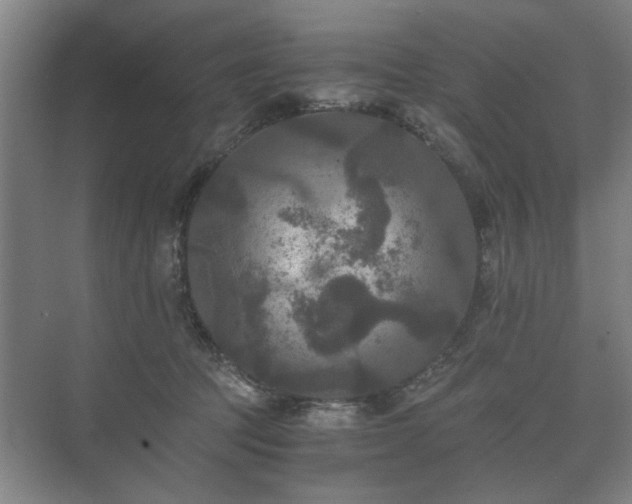 X0000073410369200608041004