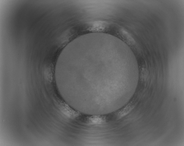 X0000073410370200608041004