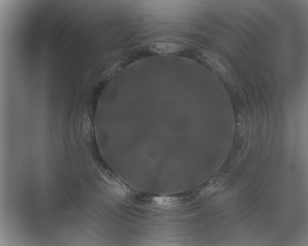 X0000073410371200608041004