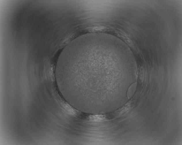 X0000073410378200608041005