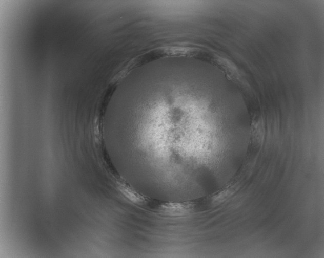 X0000073410381200608041005