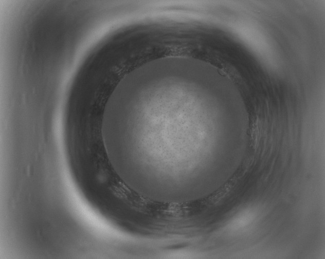 X0000073410383200608041005