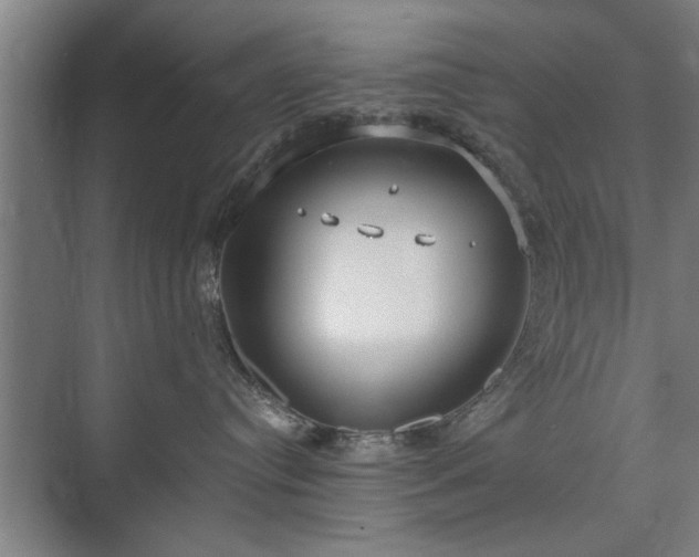 X0000073410384200608041005